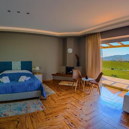 شقة Atrium Vinea Brintziki Winery Smila المظهر الخارجي الصورة