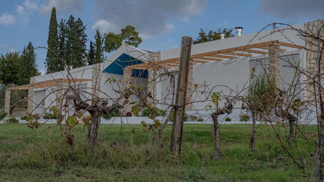 شقة Atrium Vinea Brintziki Winery Smila المظهر الخارجي الصورة
