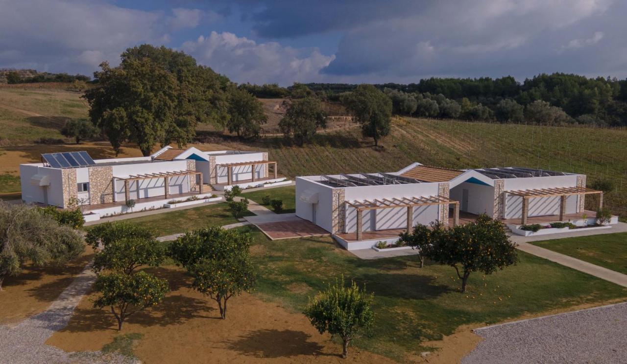 شقة Atrium Vinea Brintziki Winery Smila المظهر الخارجي الصورة