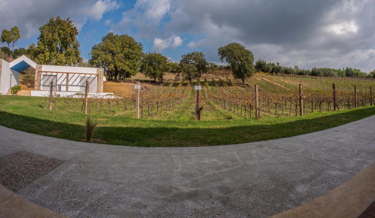 شقة Atrium Vinea Brintziki Winery Smila المظهر الخارجي الصورة