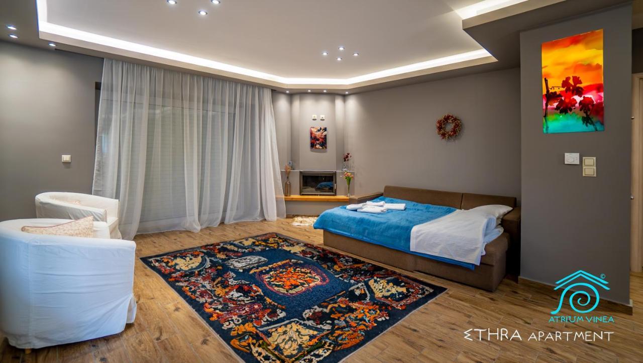 شقة Atrium Vinea Brintziki Winery Smila المظهر الخارجي الصورة