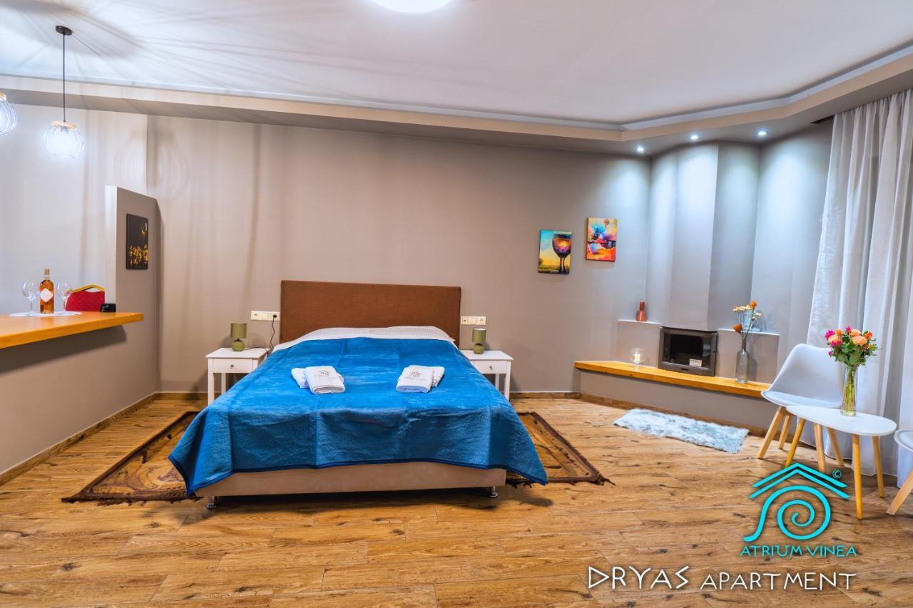 شقة Atrium Vinea Brintziki Winery Smila المظهر الخارجي الصورة