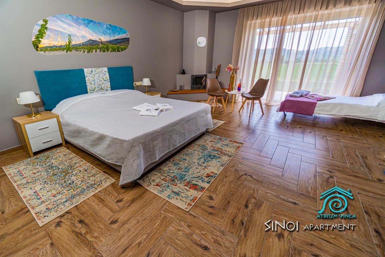 شقة Atrium Vinea Brintziki Winery Smila المظهر الخارجي الصورة